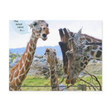 Th Latest News is Postcard