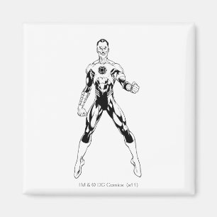 Thaal Sinestro 6 Magnet