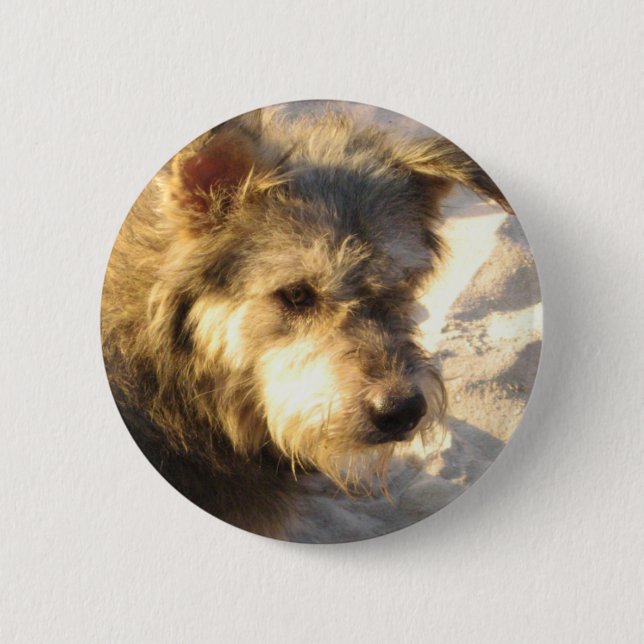 Thai Beach Dog 6 Cm Round Badge (Front)