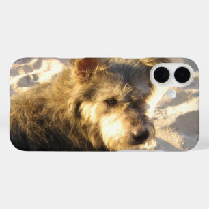 Thai Beach Dog iPhone 16 Plus Case