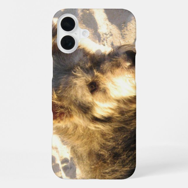 Thai Beach Dog iPhone Case (Back)