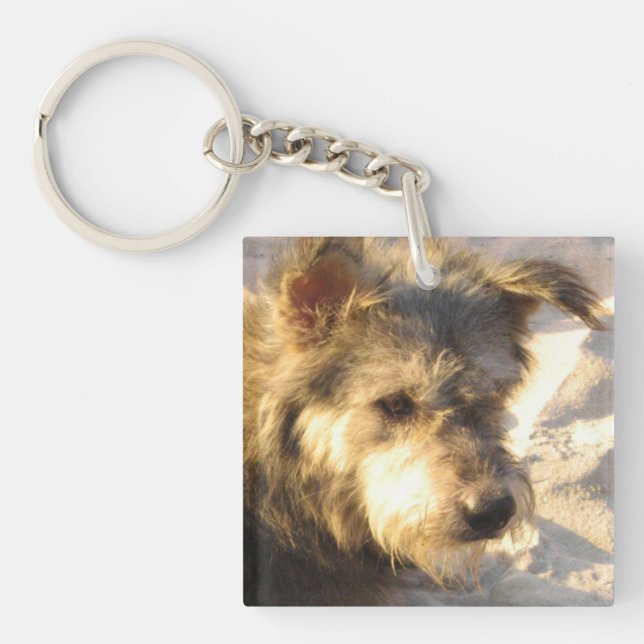Thai Beach Dog Key Ring (Front)