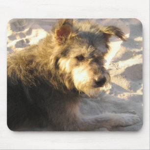 Thai Beach Dog Mouse Pad