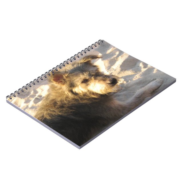 Thai Beach Dog Notebook (Left Side)
