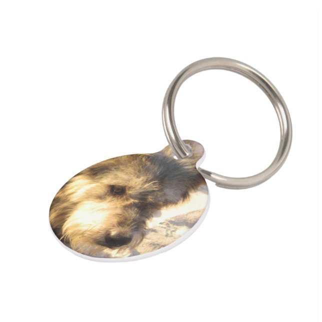 Thai Beach Dog Pet Tag (Side)