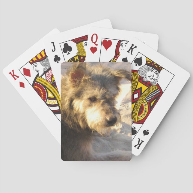 Thai Beach Dog Playing Cards (Back)