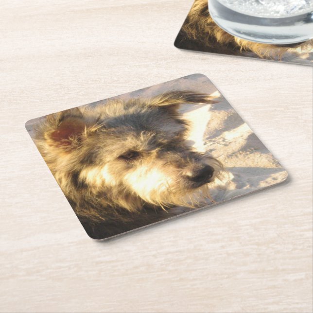 Thai Beach Dog Square Paper Coaster (Angled)