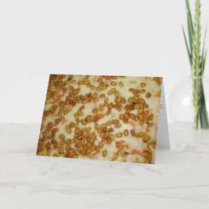 "Thai Chicken Pizza" Birthday Card