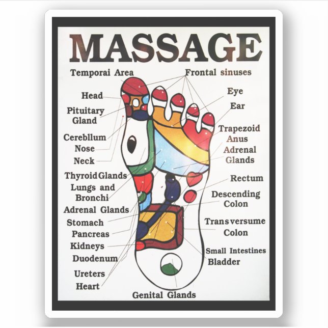Thai Foot Massage ~ Reflexology map (Front)