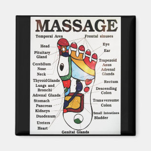Thai Foot Massage ~ Reflexology map Magnet