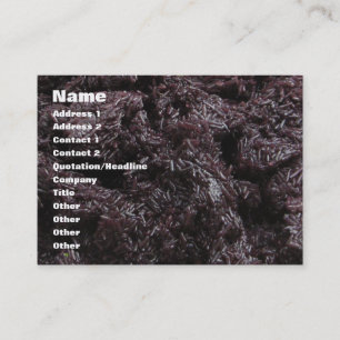 Thai Lao Black Rice [Khao Niao Dam] Business Card