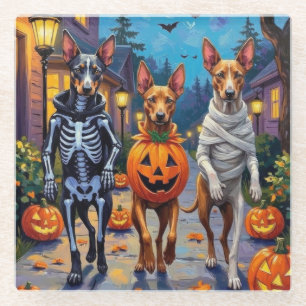 Thai Ridgeback Trick-or-Treating Halloween Costume Glass Coaster