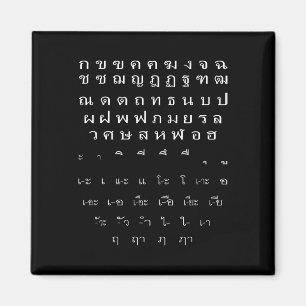 Thai Script Wall Alphabet Vowels Halloween Costume Magnet