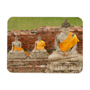 Thailand, Ayutthaya. Statues of sitting buddhas Magnet