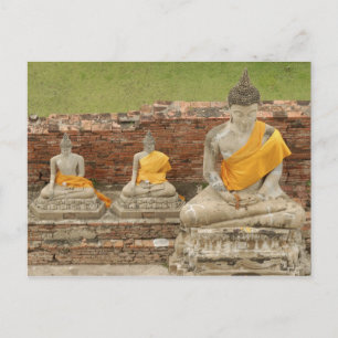Thailand, Ayutthaya. Statues of sitting buddhas Postcard