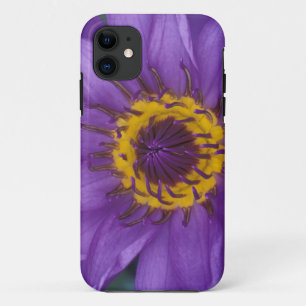 Thailand, Bangkok, Purple and yellow lotus iPhone 11 Case