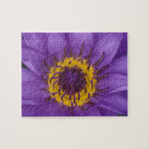 Thailand, Bangkok, Purple and yellow lotus Jigsaw Puzzle