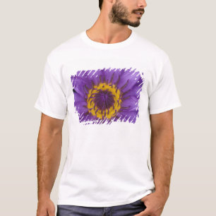 Thailand, Bangkok, Purple and yellow lotus T-Shirt
