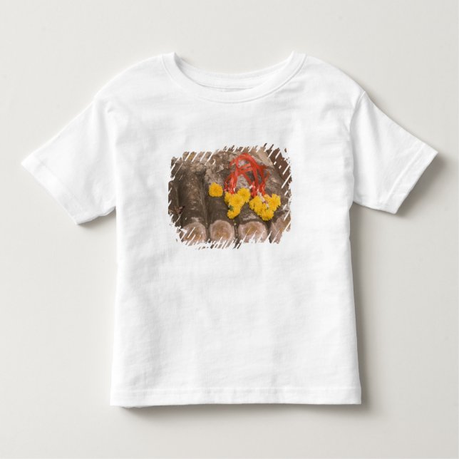Thailand, Buddha's feet and Marigold offering Toddler T-Shirt (Front)
