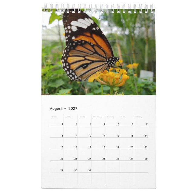 Thailand Butterflies Calendar (Aug 2027)