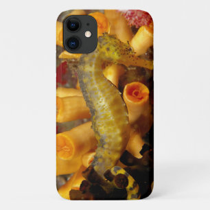 Thailand, Close-Up Seahorse iPhone 11 Case