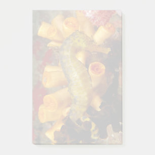Thailand, Close-Up Seahorse Post-it Notes