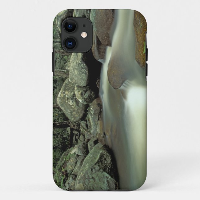 Thailand, Kohsamui Island, Rainforest landscape. Case-Mate iPhone Case (Back)