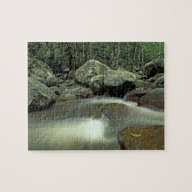 Thailand, Kohsamui Island, Rainforest landscape. Jigsaw Puzzle (Horizontal)