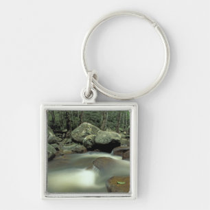 Thailand, Kohsamui Island, Rainforest landscape. Key Ring