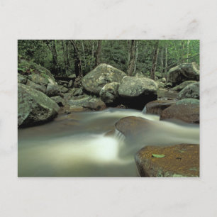 Thailand, Kohsamui Island, Rainforest landscape. Postcard