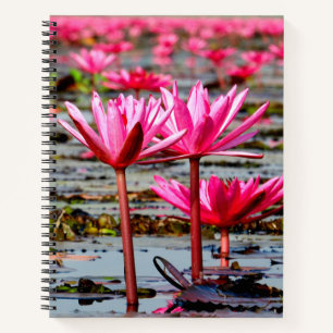 Thailand - Kumphawapi Lotus Lake Notebook