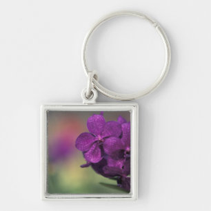 Thailand, Northern Thailand, near Chang Mai, Mae 2 Key Ring