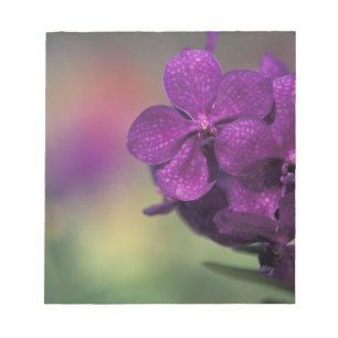 Thailand, Northern Thailand, near Chang Mai, Mae 2 Notepad