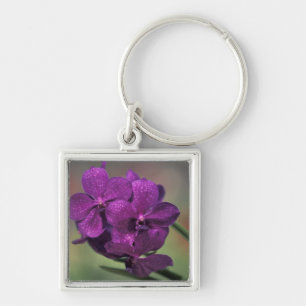 Thailand, Northern Thailand, near Chang Mai, Mae Key Ring
