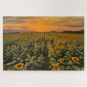 Thailand Scenery Landscape Nature Sunflower Field  Jigsaw Puzzle