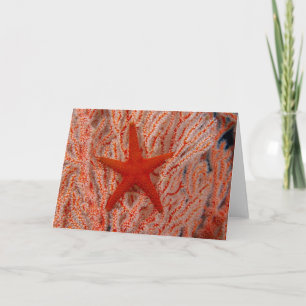 Thailand, Sea Star Aka Starfish Card