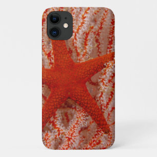 Thailand, Sea Star Aka Starfish iPhone 11 Case