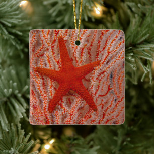 Thailand, Sea Star Aka Starfish Ceramic Ornament