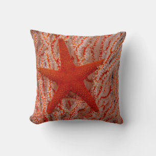 Thailand, Sea Star Aka Starfish Cushion