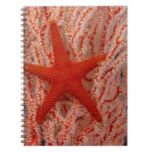 Thailand, Sea Star Aka Starfish Notebook