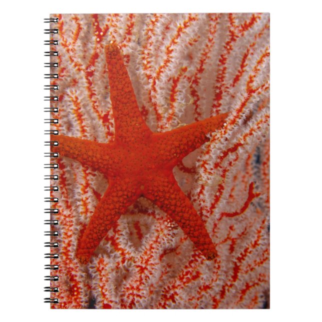 Thailand, Sea Star Aka Starfish Notebook (Front)