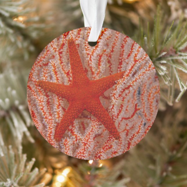 Thailand, Sea Star Aka Starfish Ornament (Tree)