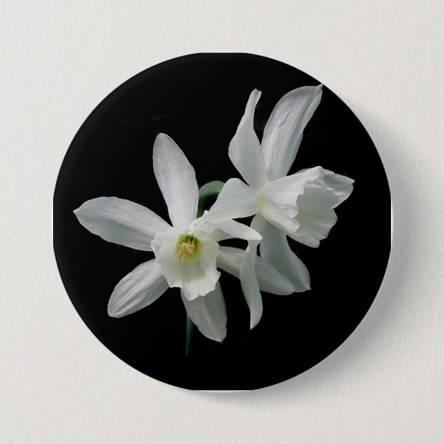 Thalia Narcissus Black and White Daffodil Button (Front)