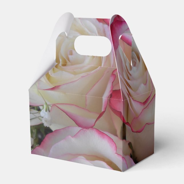 Thamar Favour Box (Back Side)