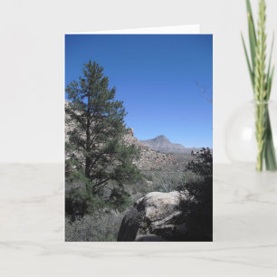 Thank a Sailor, Vegas 09 274 You Card