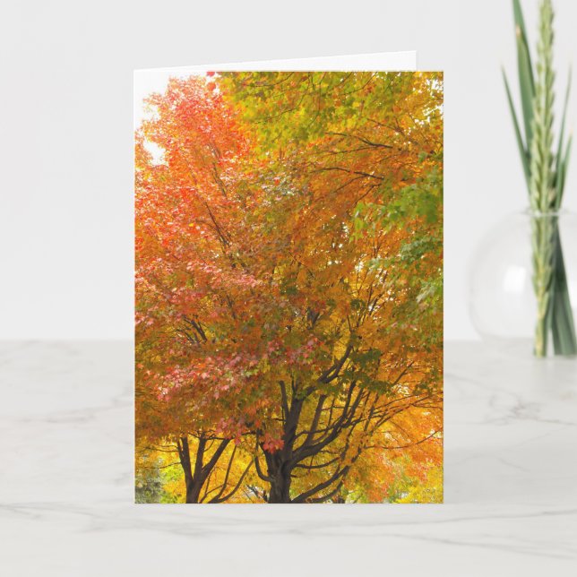 Thank a Veteran, DSCF8707 Thank You Card (Front)