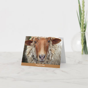 Thank Ewe: A whimsical card