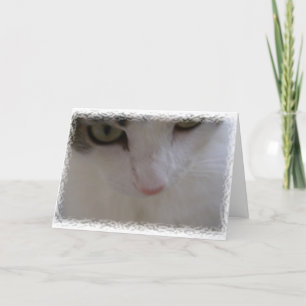 Thank Mew You Card