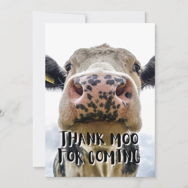 Thank Moo For Coming Cow Thank You Card (Front)
