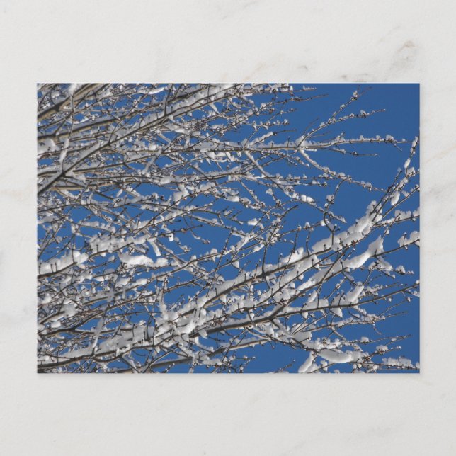 Thank Our Service Members ~ 14 Postcard (Front)